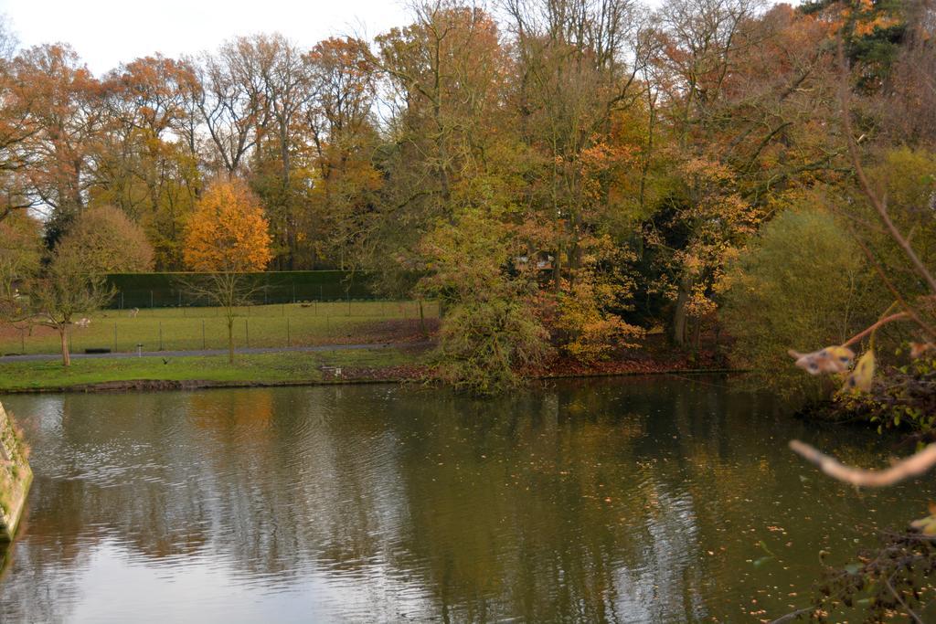 Haras Des Chartreux Hotell Estaimbourg Rum bild