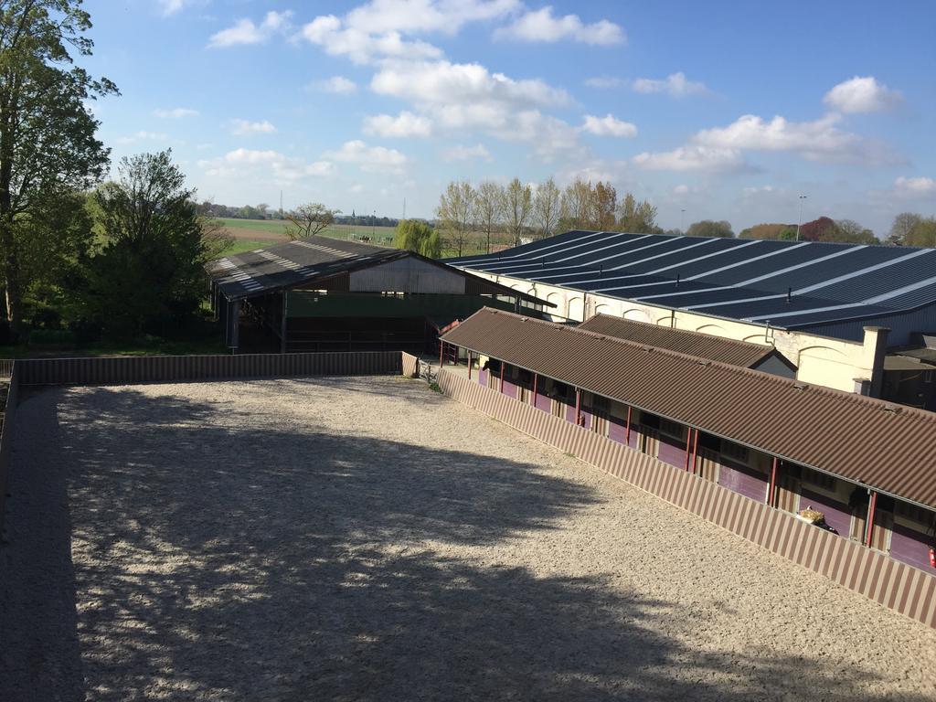Haras Des Chartreux Hotell Estaimbourg Exteriör bild
